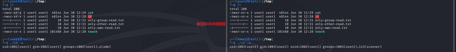 6.png