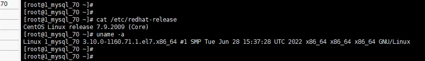 1.webp