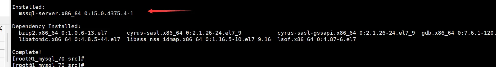 4.webp