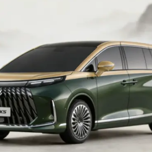 继奔驰S级之后 极狐问道V9荣膺国家大剧院指定用车