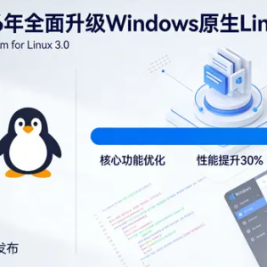 2026 年全面升级 Windows 原生 Linux 子系统